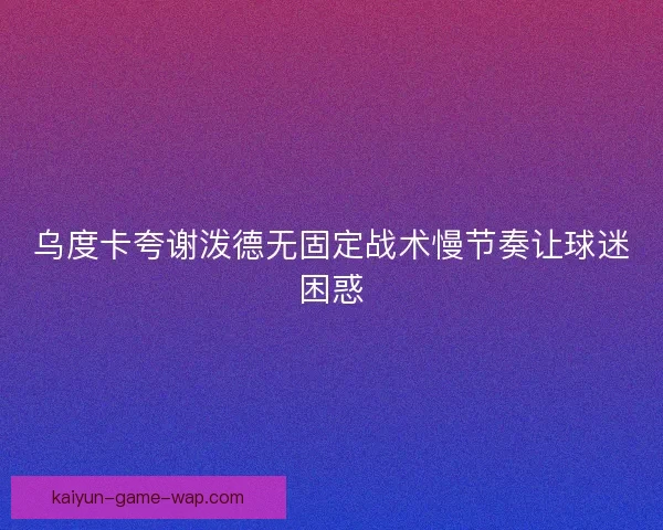 乌度卡夸谢泼德无固定战术慢节奏让球迷困惑