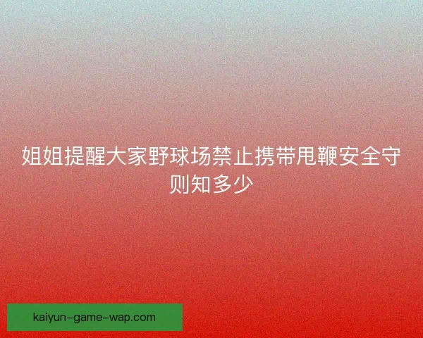 姐姐提醒大家野球场禁止携带甩鞭安全守则知多少
